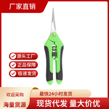 阳江现货批发园艺强力修枝剪刀果蔬剪树枝果树葡萄摘果剪园林工具