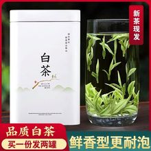 正宗安吉白茶2022年春茶珍稀绿茶春茶雨前特好白茶浓香型礼盒罐装