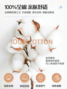 ✧ 2025 New Pure Cotton Pillowcases, a Pair of 40X60 Pillowcases, Single 100 Full Head Covers 48Cmx74C