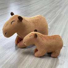 羳ƷCapybara RodentƤˮëqпͨżl