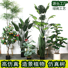 东莞厂家直供仿真植物旅人蕉龟背竹橄榄树橘子树假植物仿真散尾葵