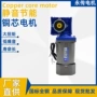 定速正品调速定制电机