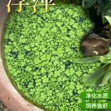 �~��֥�鸡Ƽˮ�݈A���쾰��ˮ���B�~�����Bܽ��С�~�������