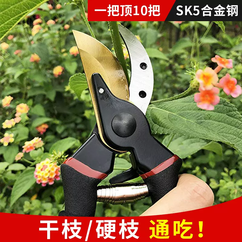 严选园艺工具修枝剪专用果树剪枝剪子安全锁扣花艺剪刀园林工具