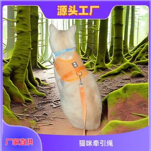 New pet leash small cat walking rope vest-style anti-break cat rope for going out