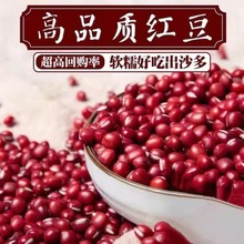 东北新红小豆黑土地红小豆出沙煮粥优质新豆五谷杂粮