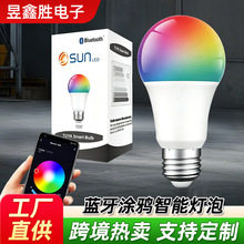 A60 10W �{���T�f���ܟ��� RGB+CW E27 E26 B22 LED���� 10W