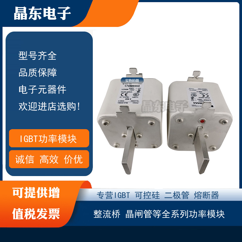 170M8505 170M8506 170M8507 170M8508 170M8509现货原装熔断器