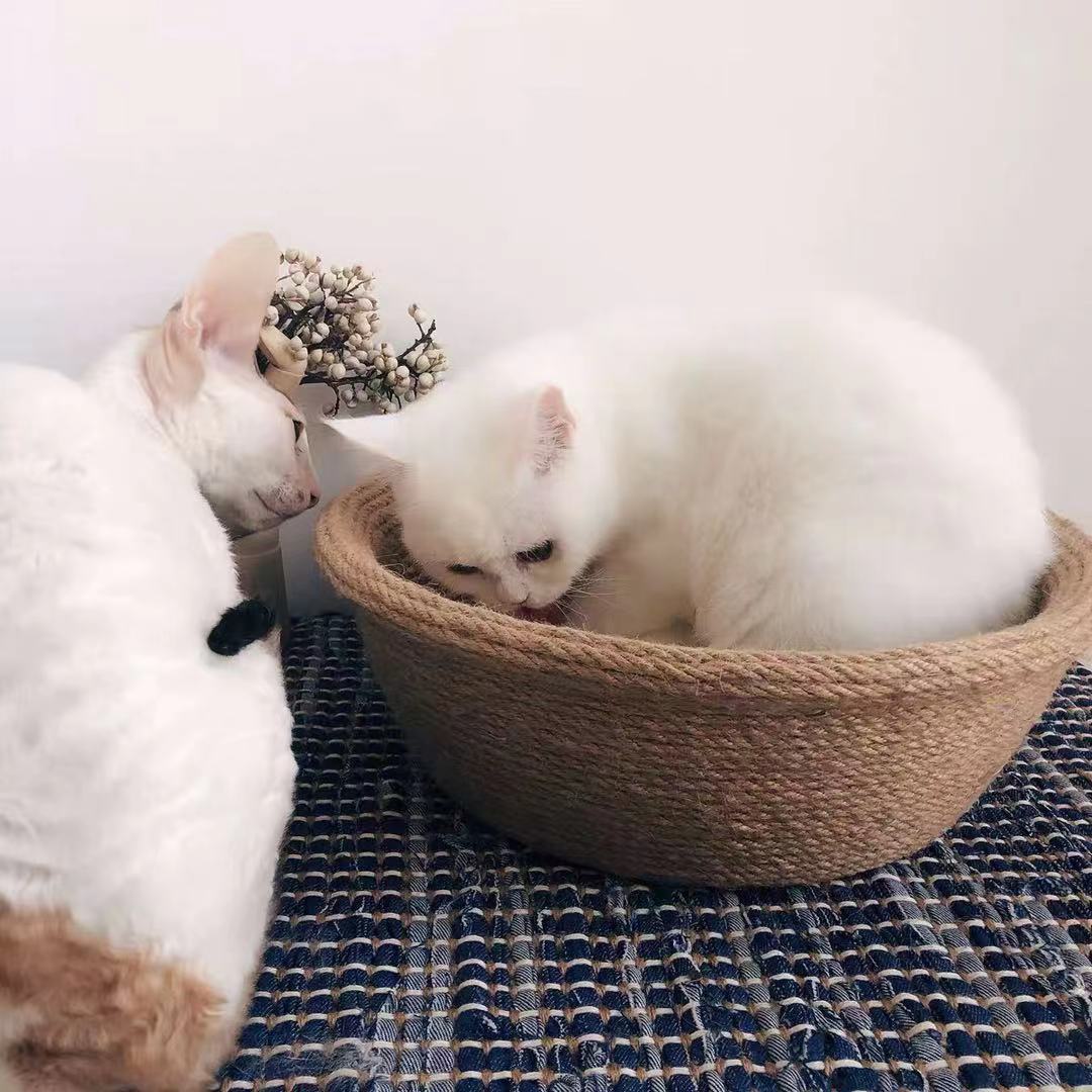 麻绳手工制作材料DIY猫爬架绳子收纳线绳拉绳耐磨软绳猫用剑麻绳详情6