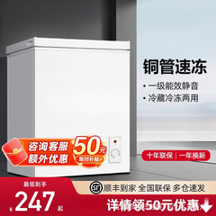 小冰柜一级能效小型家用全冷冻冷藏两用节能迷你卧式微霜冷柜