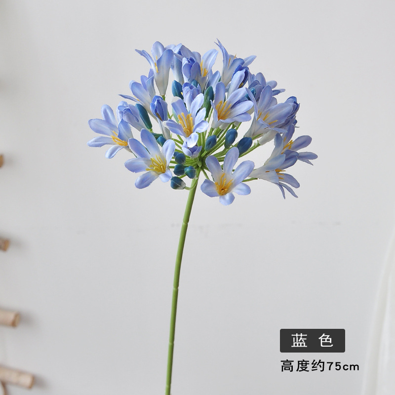 블루