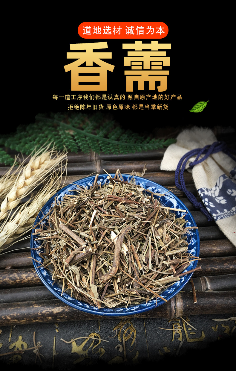 Dried Elsholtzia Herb Xiang Ru Loose Whole Herb Traditional Summer Herbal Tea 500g key features