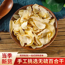 自然采摘无硫熏大片甜百合干中药材自然百合干食用大片营养百合干