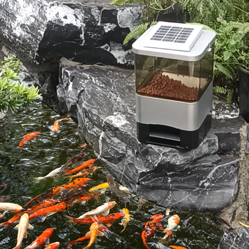 ˹KOI feederԶιʱͶιʳ