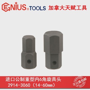 Imported Gifted Tools GENIUS Metric Heavy Duty Inner Hex Head 2919 2922 2924 2927