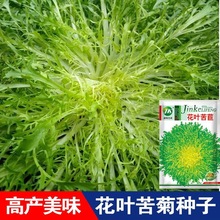 ���ķN�ӿ�ղ��ѷNѿ�����߲˷N�ݷN�Ѵ��ﶬ���ļ����������