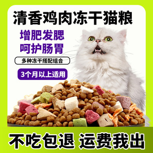 Freeze-Dried Cat Food for Kittens and Adult Cats, Universal Cat Staple Food for All Stages, Source Factory, Cross-Border One-Piece Supply, Foreign Trade Wholesale