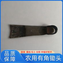 �����н��z�^�������س����r���_�Ĺ��ߏS�ҬF؛�N���r���r���z�^