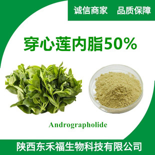 ����ɏ��֬50% Andrographolide����ɏ��ȡ�ﴩ��ɏ�۴���ɏ����