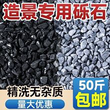 50斤黑色深灰色砾石青石小碎颗粒水洗石日式庭院铺路造景铺地米石