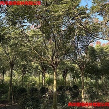 ���������ľ�u�X��10-12-15-18-20-25���ֻ������l�r������ă�