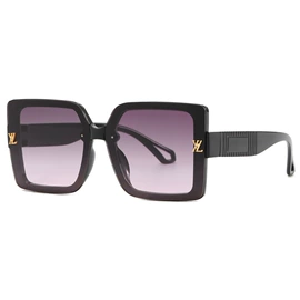 太阳镜;老花镜;护目镜