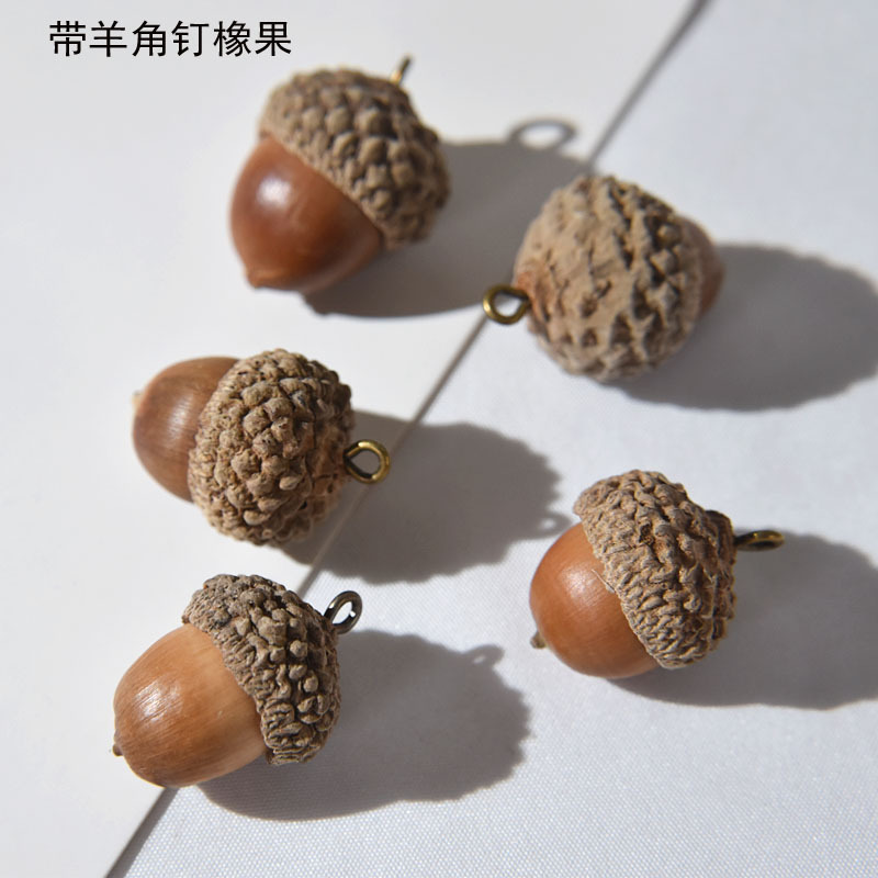Lisa's Family Tree DIY Handmade Accessories Natural Real Acorn Acorn Dry Fruit with Horn Nails Very Rare