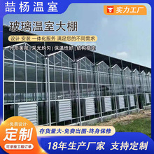 连栋玻璃大棚 智能玻璃温室大棚 温室大棚骨架 蔬菜花卉育苗大棚