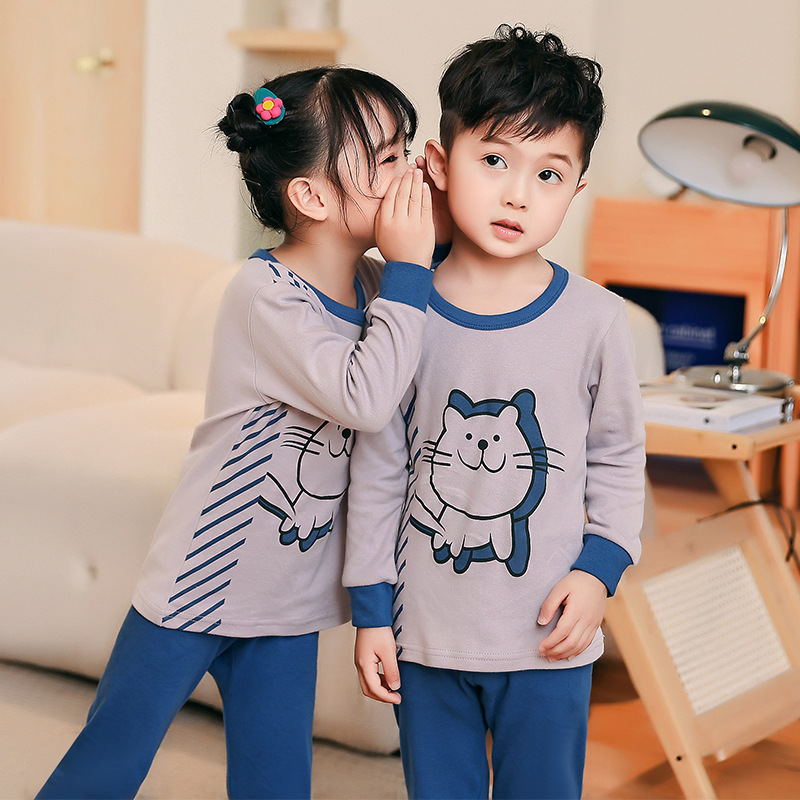 JSJ 큰 회색 고양이