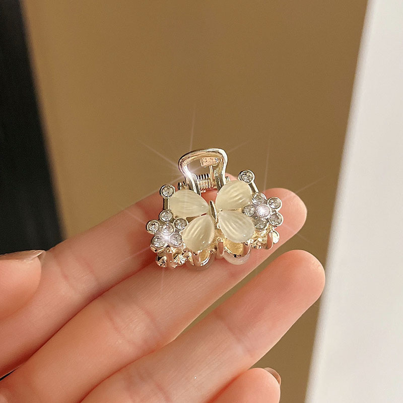 Ojo de gato sola mariposa-oro