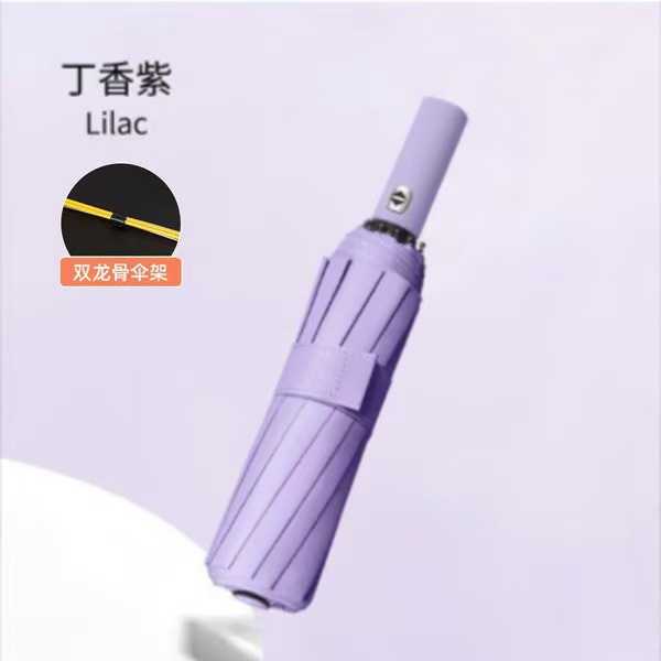 보라색 [플래그십 방풍 더블 드래곤 스톡] 24본 블랙 글루