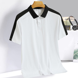 2025 Summer New Polo Shirt Men's Quick-Drying Lapel Sports Short-Sleeved T-Shirt Summer Loose Elastic Casual Men