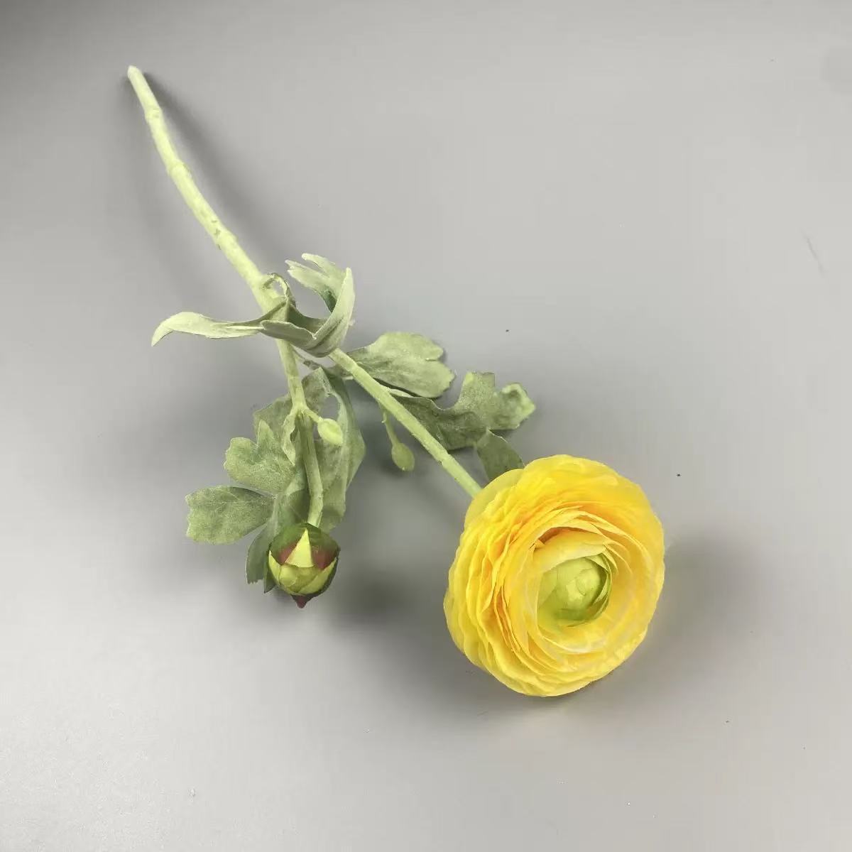 몰려든 연꽃