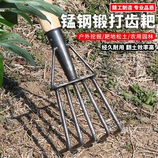 Iron Rake for Beachcombing, All-Steel Beach Rake for Digging Clams, Oysters, and Peanuts