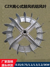 CZR���L�C�L�~/�~Ƭ�t��L�C�X�~��/�L���~/�~݆���100W-3500W