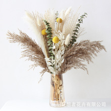 狂想者富贵叶黄金球混搭花束ins北欧风森系自然干花束家居装饰品