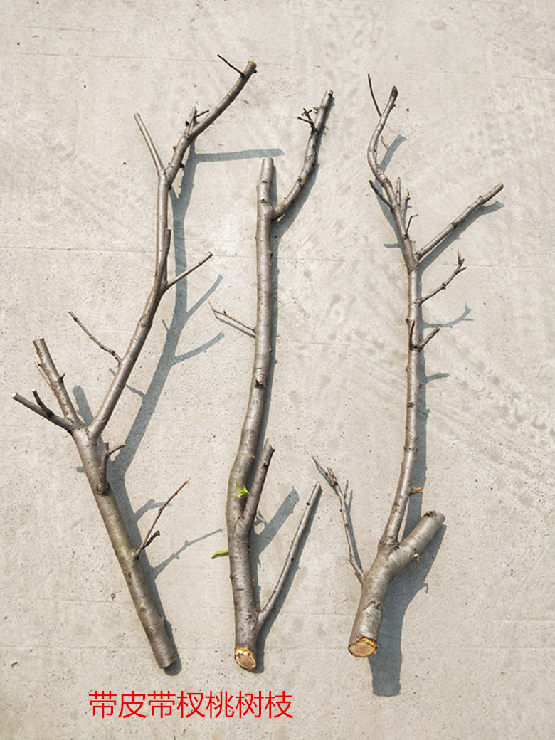 。Arquivos de flores de ramas secas de madera tronco artístico ramas secas maderas secas de madera secas descorpeadas modelado percha de pared paquete de tronco