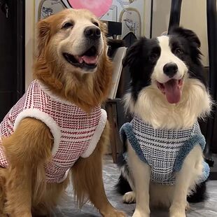 ��ë�·�����Ӻ�ůС���L�󹷹�ʿ���_ĦҮ�����·��д���Ȯ