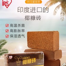 ���M���B���NÓ�}Ҭ�u��650gͨ���������I�B�I�B��������GֲҬ��