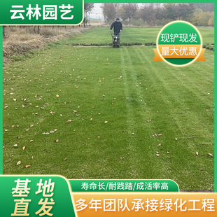 �������������ƺ����Ľ��첥��ƺ