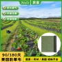 透水农用透气除草果林