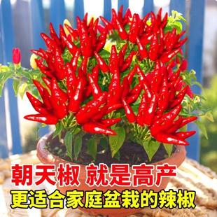 ���콷�N���ļ��Nֲ��������ֲ���x�N�߮a�����߲���С�׽��ݽz��