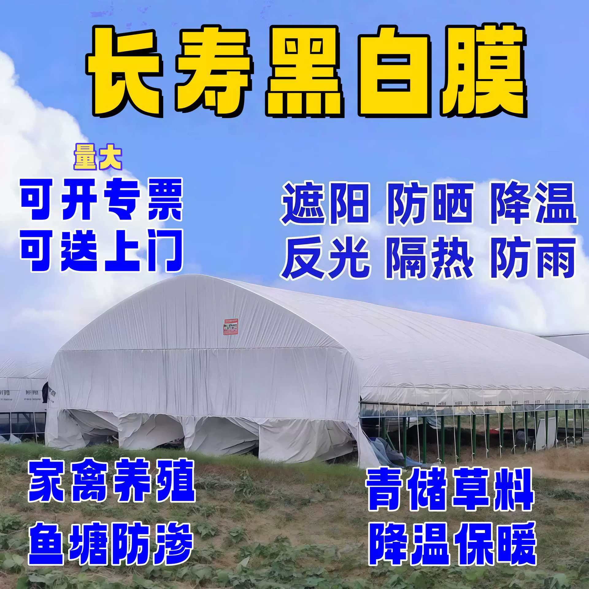 大棚膜加厚黑白绿白膜养殖膜防水降温隔热遮光青储青贮膜食用菌膜