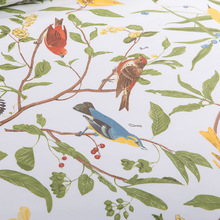 【百鸟图】纯棉60S贡缎长绒棉特宽幅面料 工厂加工床上用品布料