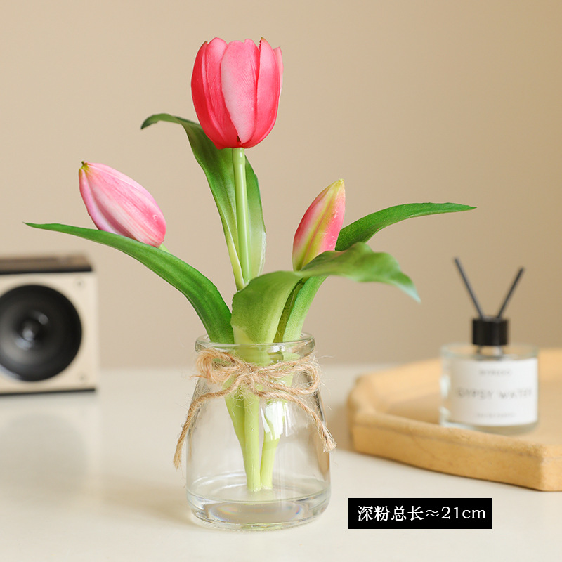 다크 파우더(단일 세면대 포장)