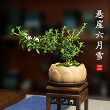 ��߅����ѩ����С������������_���Ϙ��U���辰�����k���҃Ȼ���