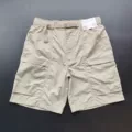 Beige 463870