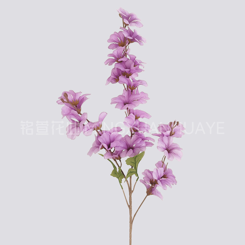 보라색 삼지창 제비