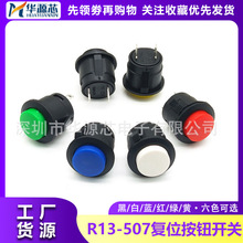 R13-507���I�_�P����ʽ���o�c���_�P 16MM�A�Οo�i�ԏ�λ�_�P