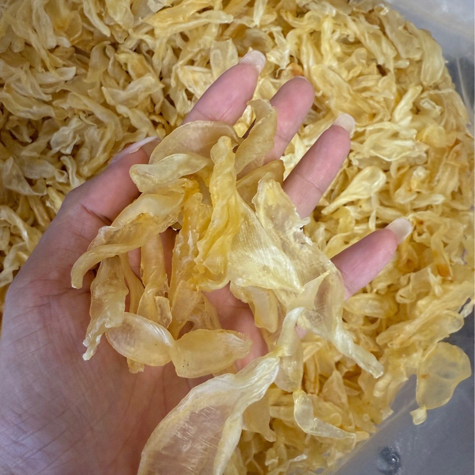 黄花胶 耐炖不腥竹叶胶煲汤炖奶佛跳墙一德路花胶批发足干一斤